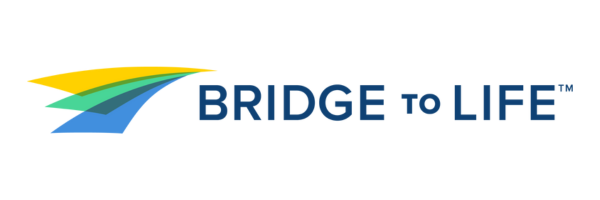 bridge to life bridge to life